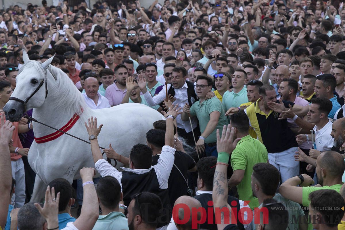 Fiestas de Caravaca | Entrega de premios del concurso morfológico