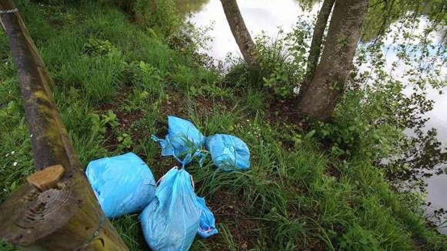 Pieles y vísceras de ovejas en el lago y más bolsas depositadas a escasos metros.  // Bernabé/Gutier