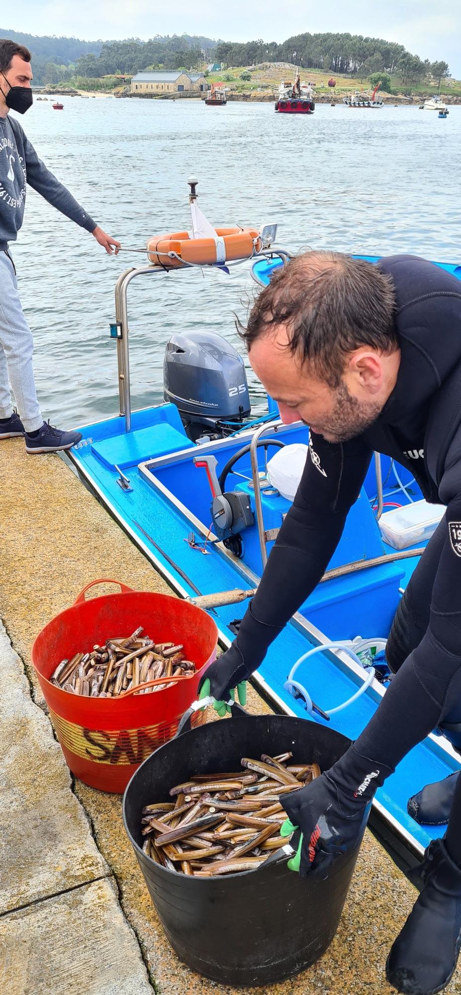 Descargas de navaja en la rampa de Porto Meloxo (O Grove).