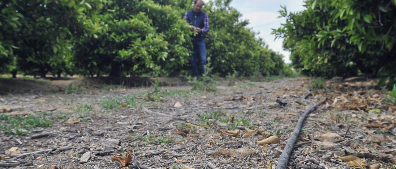 Regantes de la Sexta y la Séptima rechazan la venta anticipada de 3.000 horas de agua para cultivos