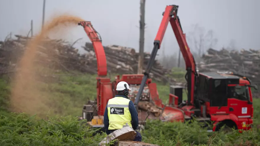 Reutilización de la madera quemada en el incendio de 2023 en Tenerife