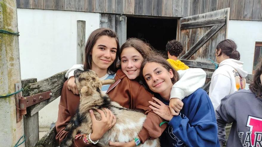 Un grupo de niños disfrutando con los animales.