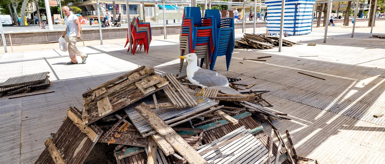 Un operario municipal, junto a algunos de los tramos de la tarima de madera que se han retirado por estar en peor estado.