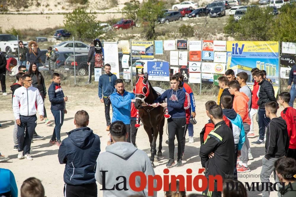 Carrera de entrenamiento de los Caballos del Vino