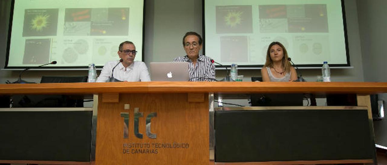 De izquierda a derecha Antonio J. González Ramos, Javier Arístegui y Mar Benavides, durante la presentación del informe sobre las cianobacterias en la sede del ITC en la capital grancanaria.