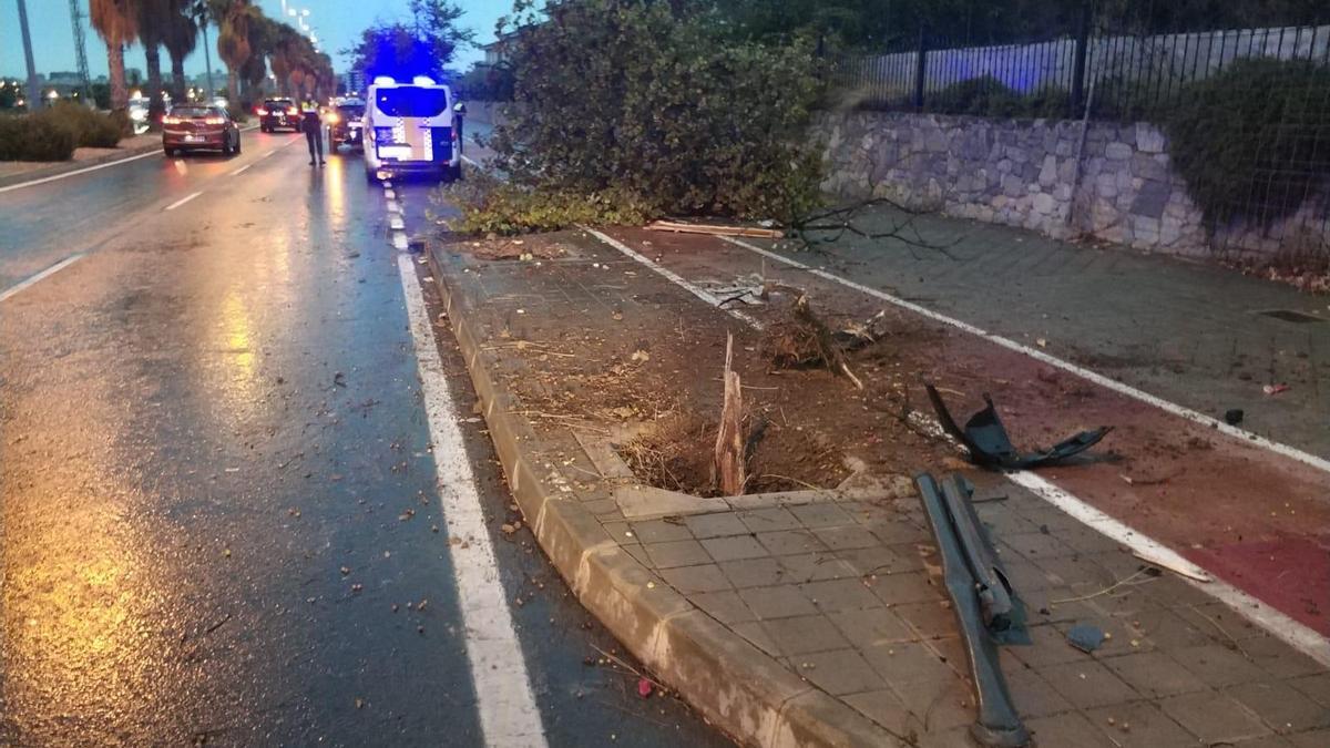 Un conductor choca contra un árbol y se da a la fuga andando en Alicante