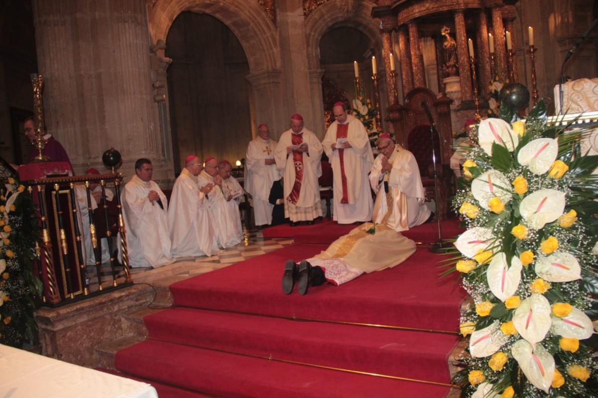 El cordobés Francisco Jesús Orozco Mengíbar, nuevo obispo de Guadix