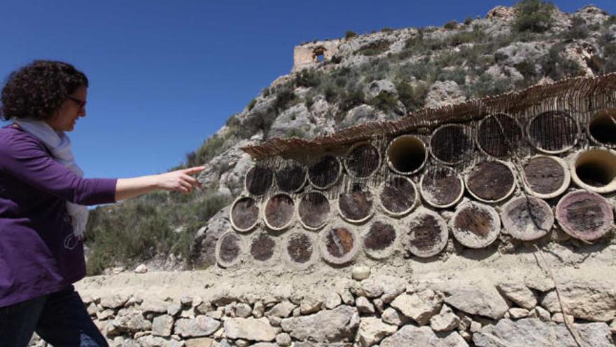 La concejal de Medio Ambiente de Tibi, Luisa García, contempla el colmenar ubicado a las faldas del castillo del municipio.