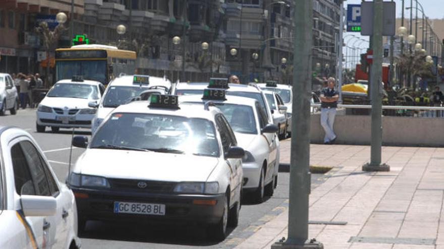 Un grupo de taxis hacen fila en la parada del parque de San Telmo. i JUAN CARLOS CASTRO
