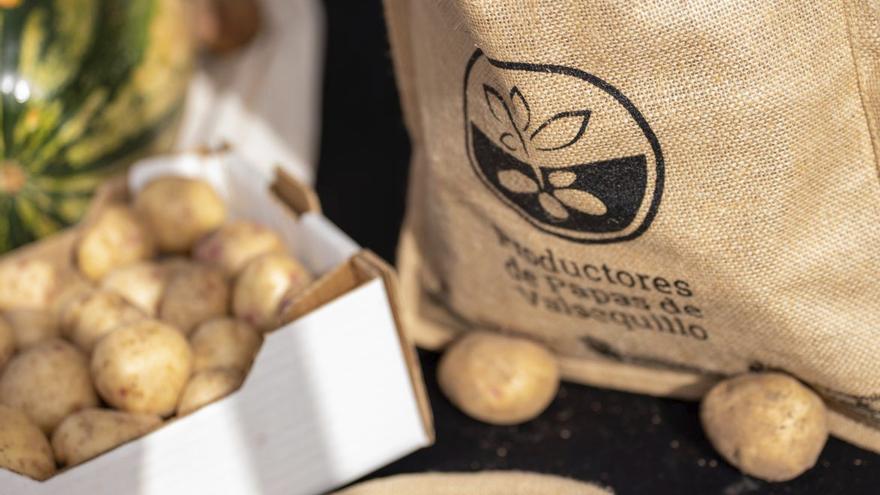 Valsequillo cultiva futuro entre fresas, papas y millo