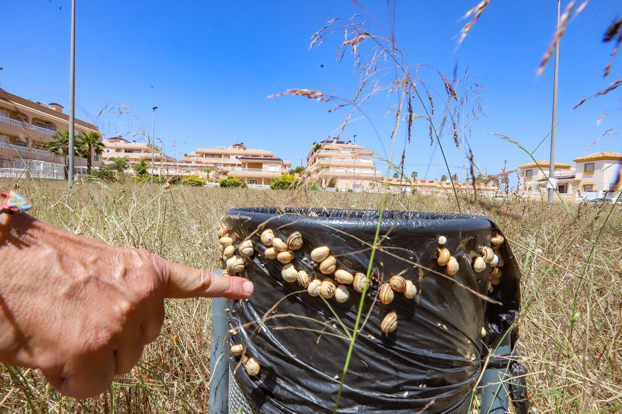 Parques en Orihuela Costa con deficiencias en el mantenimiento