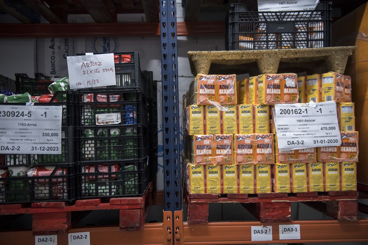 Fotogalería | Una jornada de trabajo en el Banco de Alimentos de Cáceres