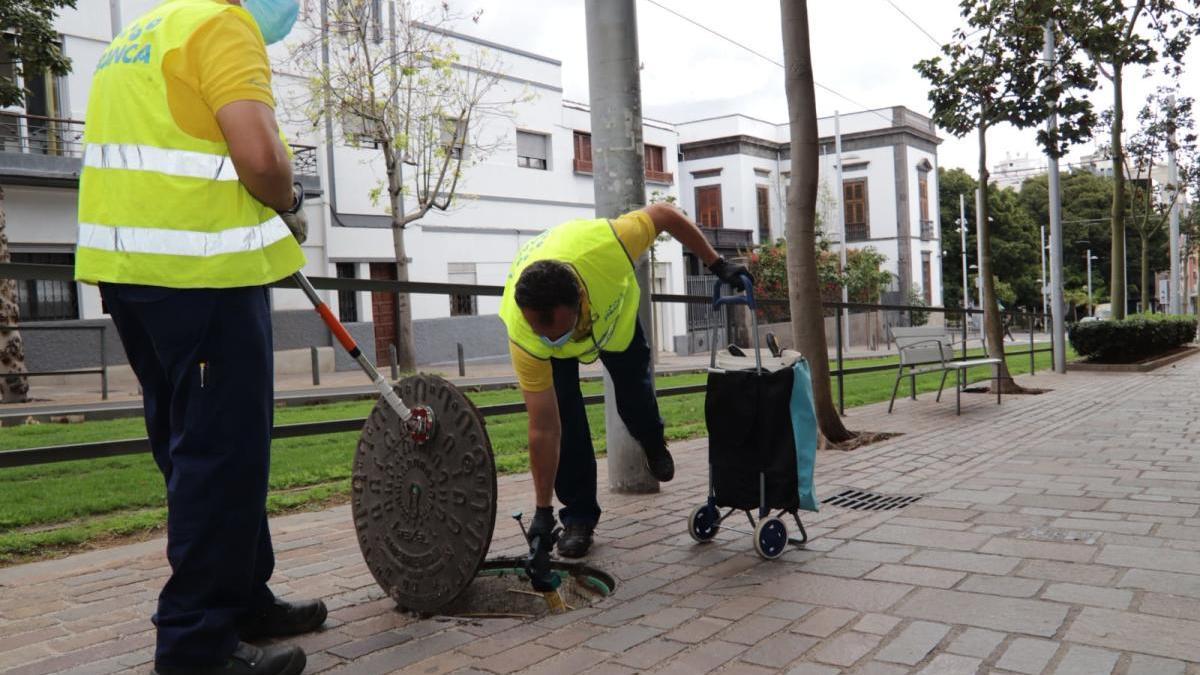 Los operarios municipales intensifican los tratamientos antiplagas.