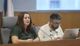 La alcaldesa descarta ya  un pleno extraordinario para las 300 viviendas