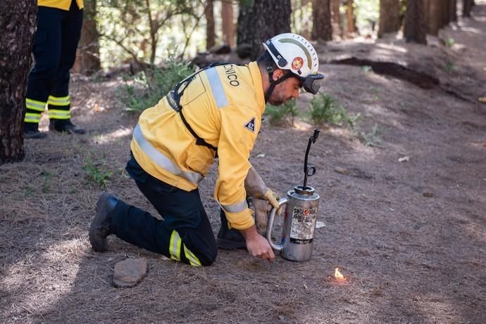 La UME realiza prácticas de prevención de incendios en Gran Canaria