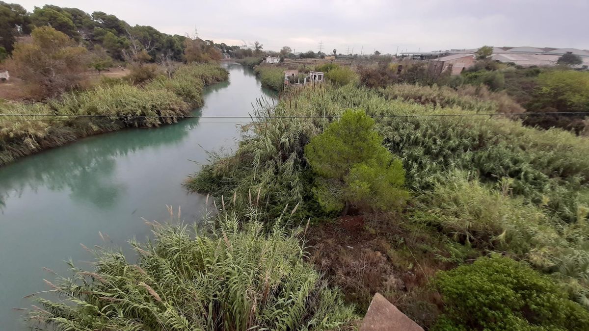 Desde el equipo de gobierno se prevé cambiar la imagen y revalorizar el margen del río, entre los puentes de Santa Quitèria y N-340, perteneciente a la ciudad.