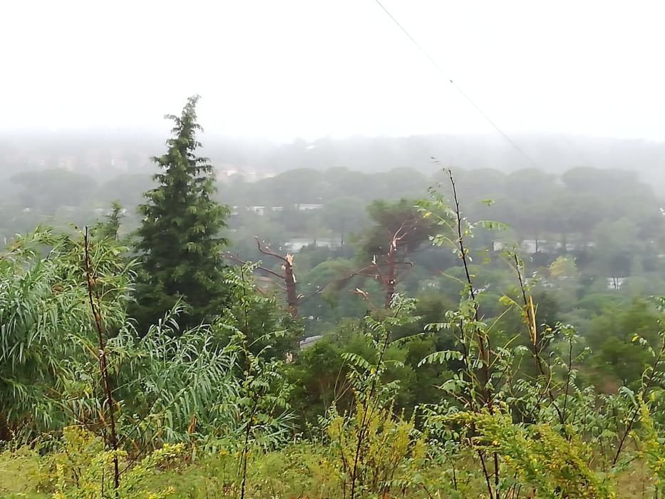 Destrosses a Riells i Viabrea per un tornado