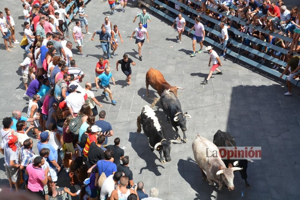 I Encierro de Blanca 2016