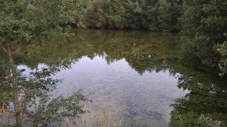 Aguas verdes en el embalse de As Conchas.  // FdV