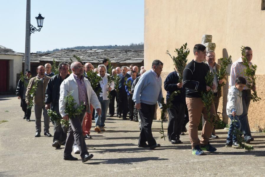 Semana Santa de Bercianos: Domingo de Ramos