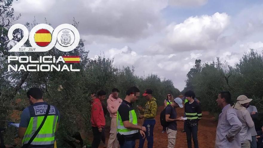 Operación Naranjal: liberan a 45 víctimas de explotación laboral en la recolección de mandarinas en Sevilla