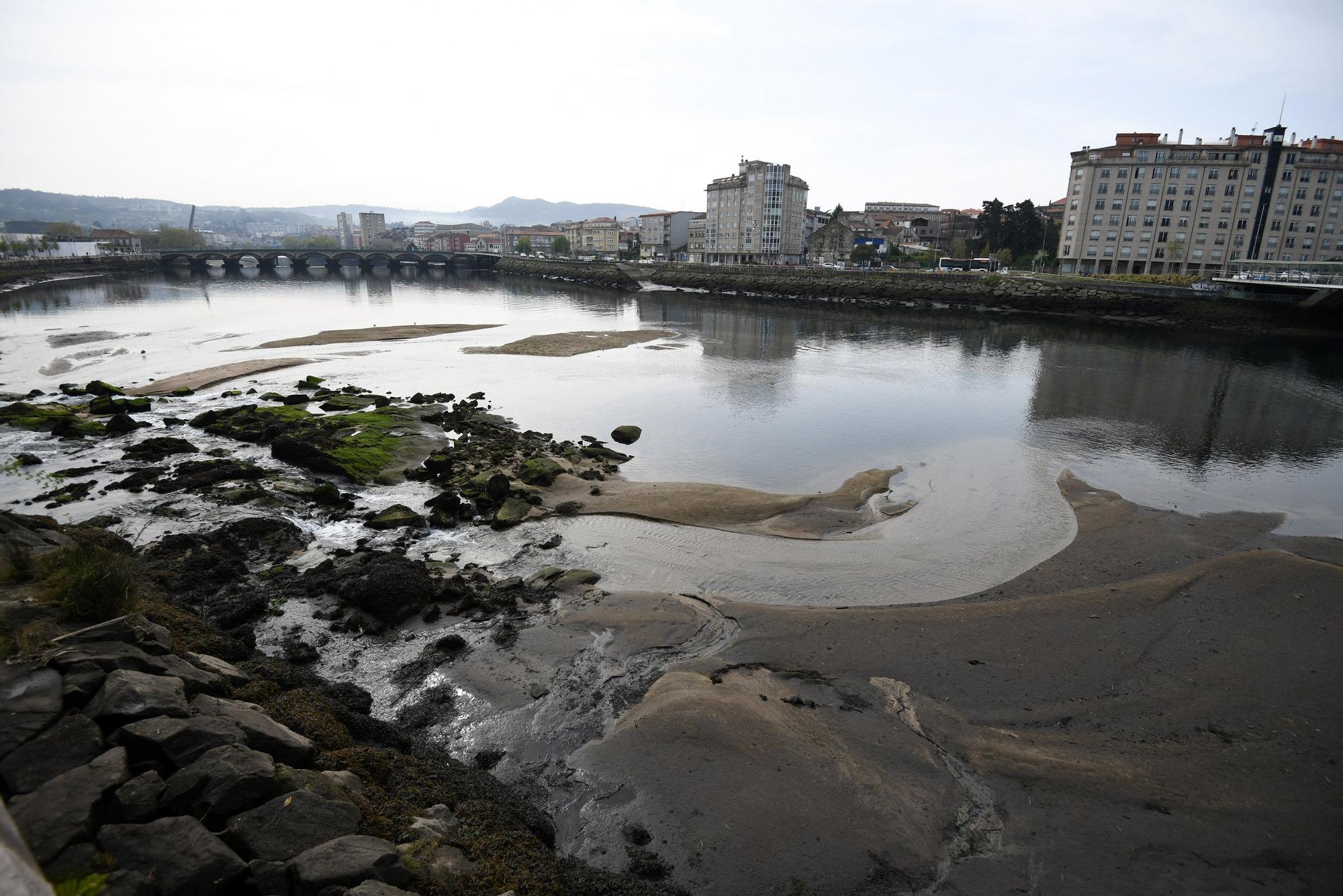 Caminando por el Lérez: las mareas vivas destapan el lecho del río