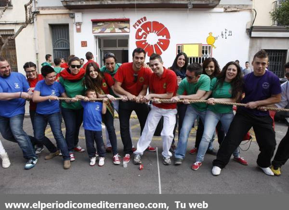 GALERÍA DE FOTOS - Fiestas de San Pascual concurso de tiro de cuerda