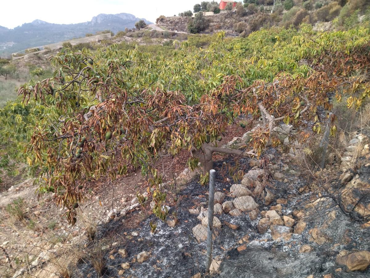 La destrucción del incendio de Tàrbena, en imágenes