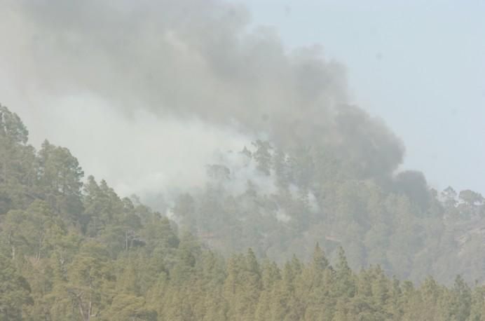 .INCENDIO. EN GRAN CANARIA