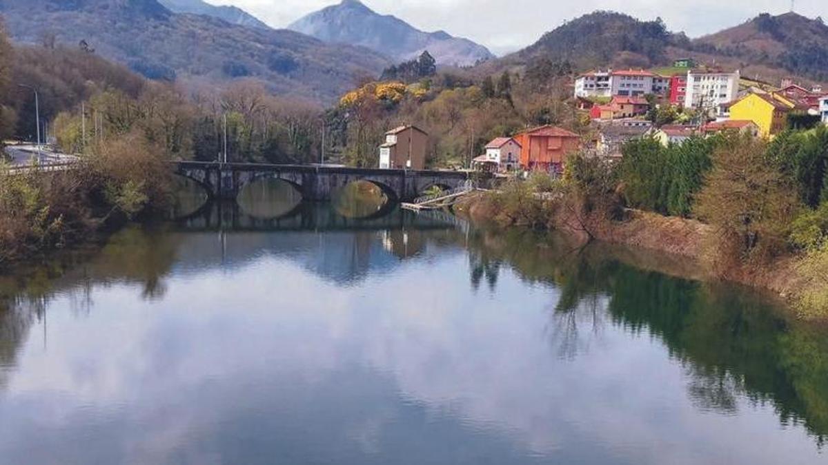 Vista de parte del concejo de Ribera de Arriba.