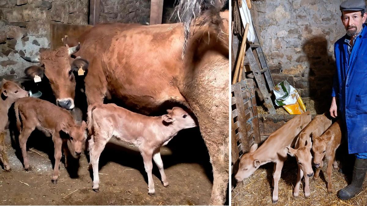 A la izquierda, Cervera con sus tres trillizas. A la derecha, Julio Vega con Primavera, Flora y Fauna.
