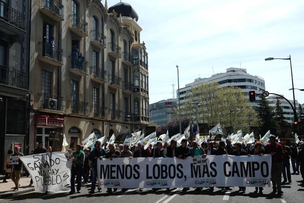 La Alianza se manifiesta en contra del lobo