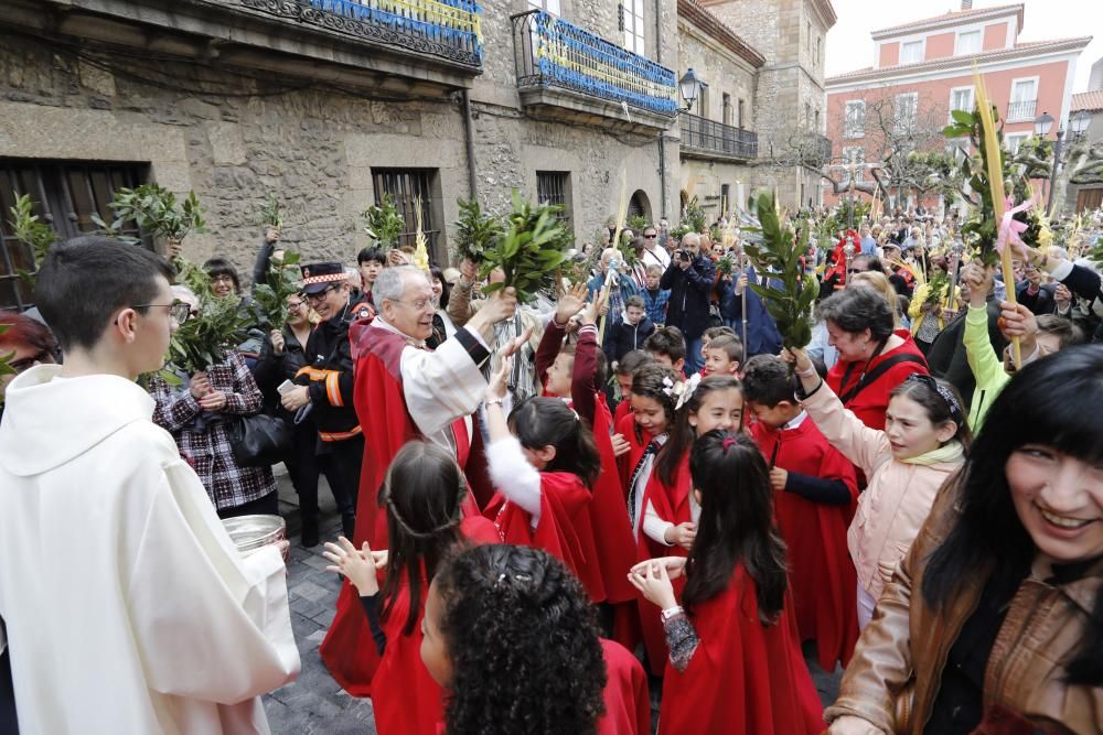 Procesión de la Borriquilla en Gijón