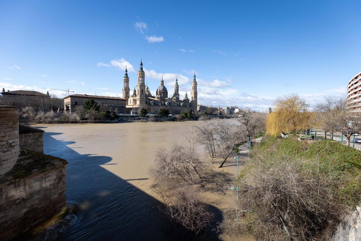 En imágenes I Árboles caídos en Zaragoza y parques cerrados por el viento