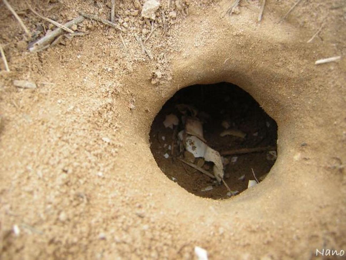 Galápagos en  el Duero