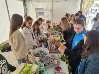 Cientos de personas acuden al Talent for Change, festival que muestra la creatividad del alumnado de Bueu con un toque solidario