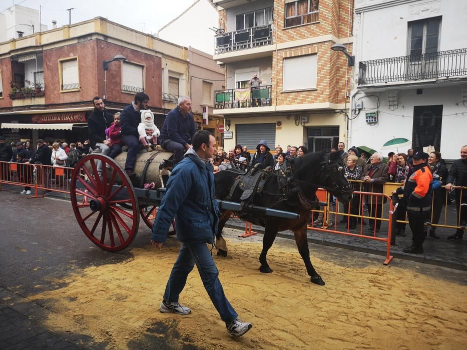 Bendición de animales en Xirivella.