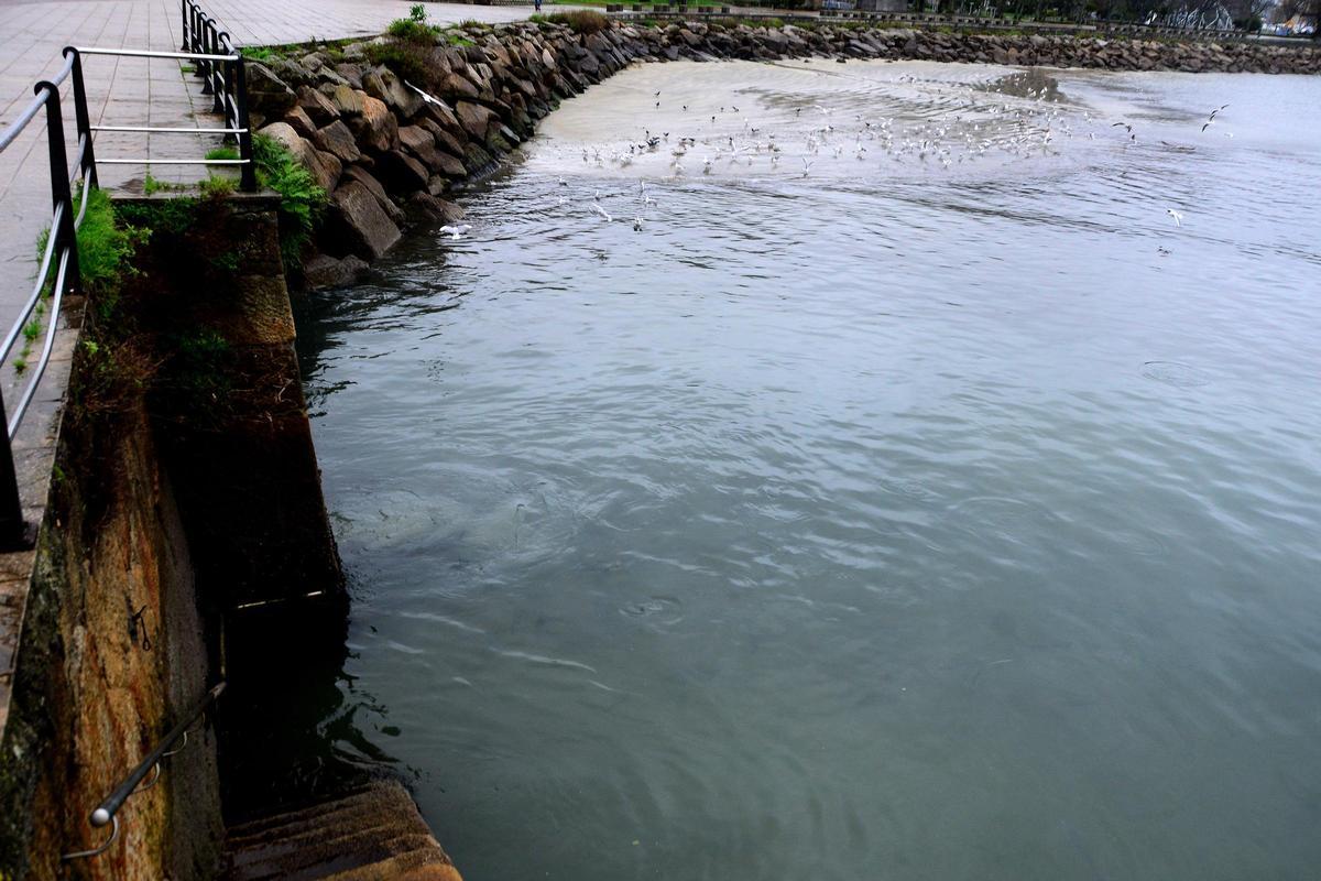 La zona en la que está el aliviadero por el que se vierten aguas pluviales y residuales en la zona de O Señal, en Cangas.