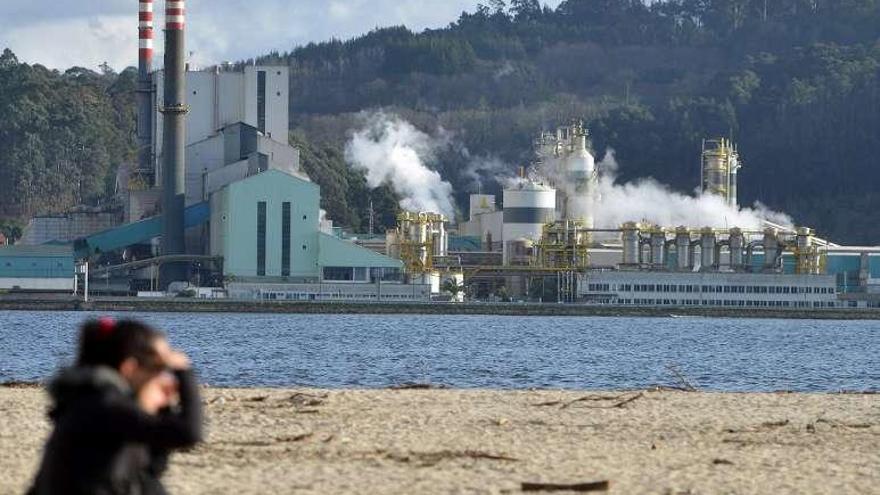 Vista de la fábrica de Ence desde Poio. // Gustavo Santos