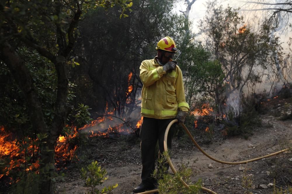 Incendi forestal a Blanes