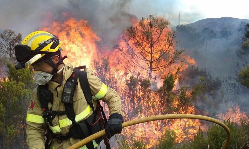 Incendi forestal a Llançà