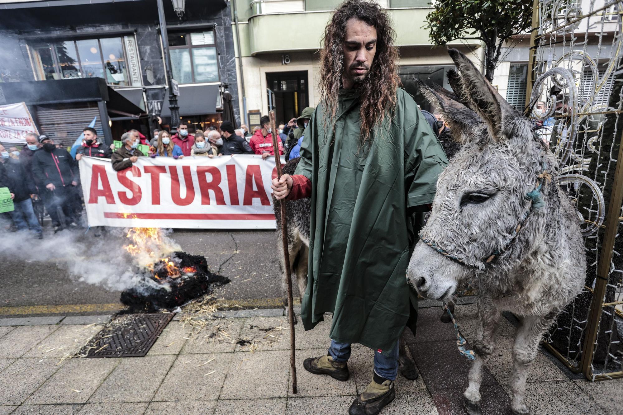 Tractorada en Oviedo de los trabajadores del campo asturiano: "No podemos más"