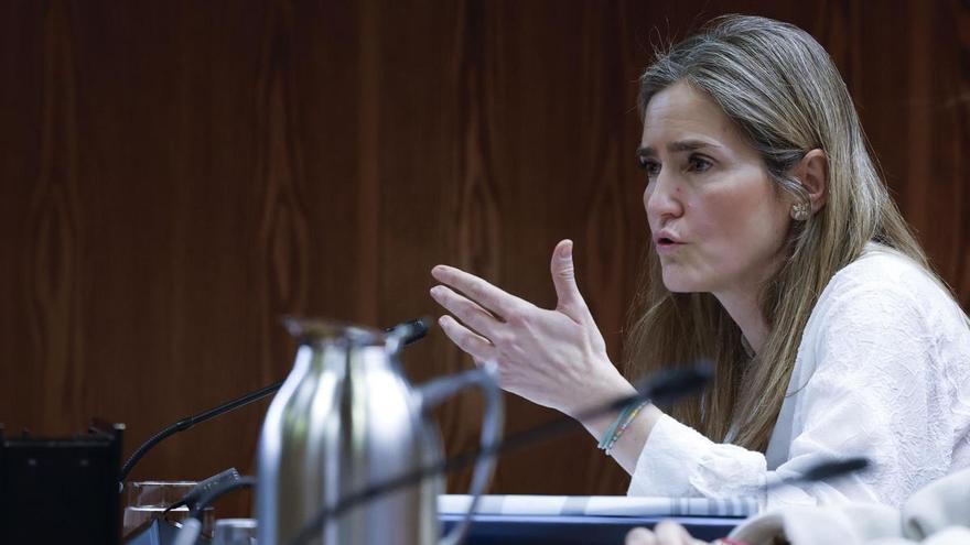 Aagesen anima a las eléctricas a hacer pública toda su información sobre el apagón