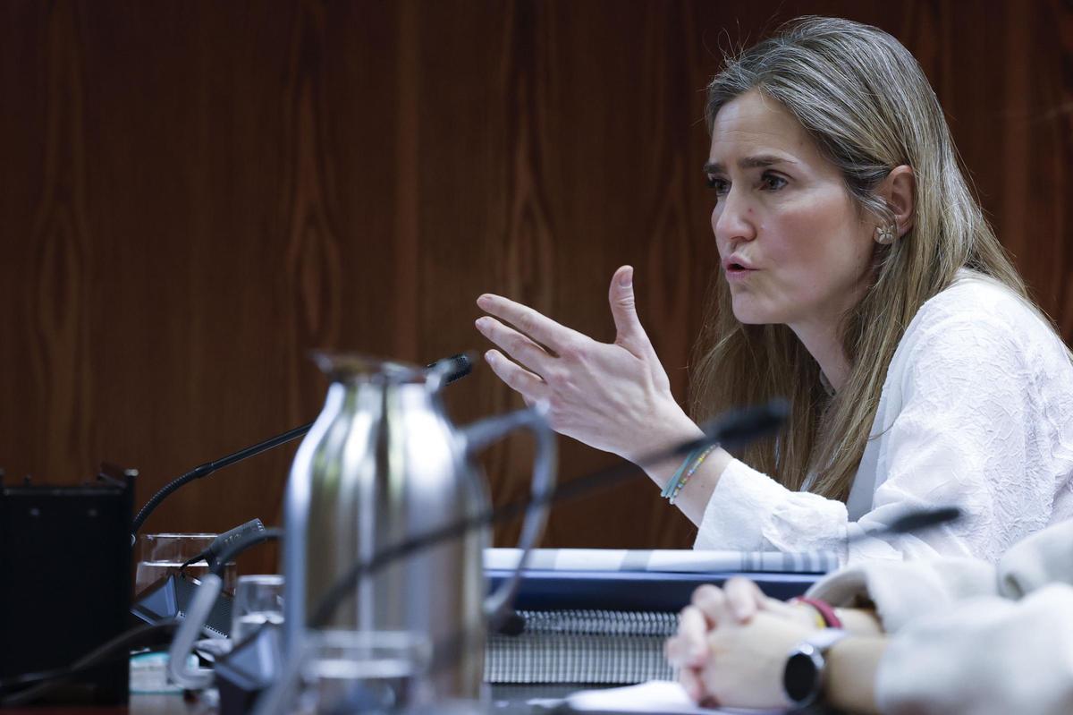 Aagesen anima a las eléctricas a hacer pública toda su información sobre el apagón