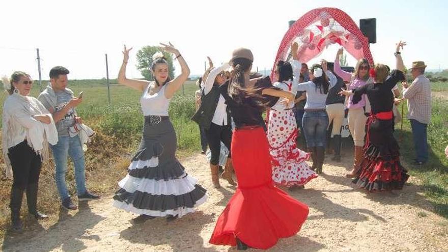 Arte flamenco en la marcha rociera de Coreses