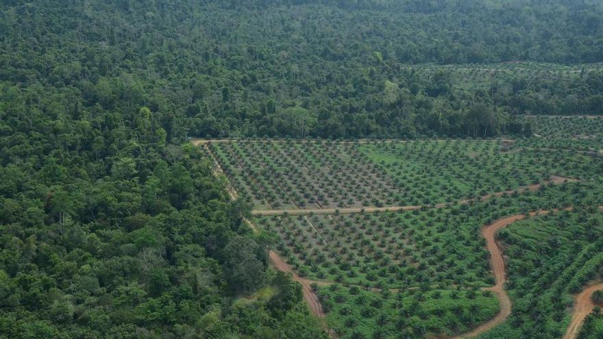 Estos son los países y los alimentos que más daño están haciendo a la biodiversidad