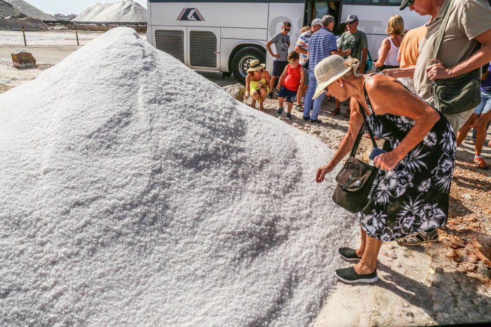 En torno a medio centenar de turistas estrenaron las visitas guiadas a las salinas de Torrevieja, que pretenden normalizarse el verano que viene