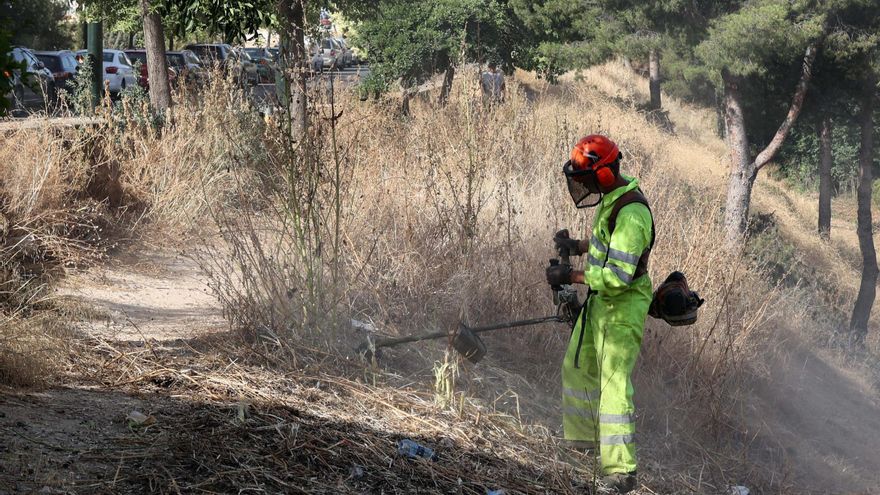 Alcoy desbroza 11 kilómetros de cunetas para prevenir incendios forestales
