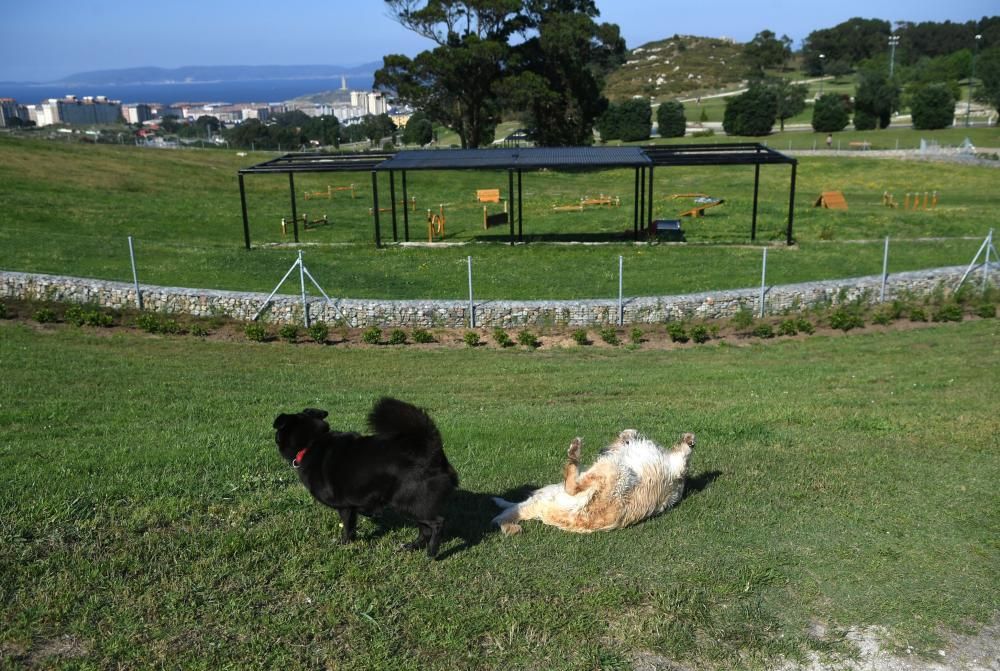 La zona canina abrirá a mediados del mes de julio, con medio año de retraso sobre la fecha inicial - Tendrá una extensión similar al campo de fútbol de Riazor, con zonas de lavado y juegos.