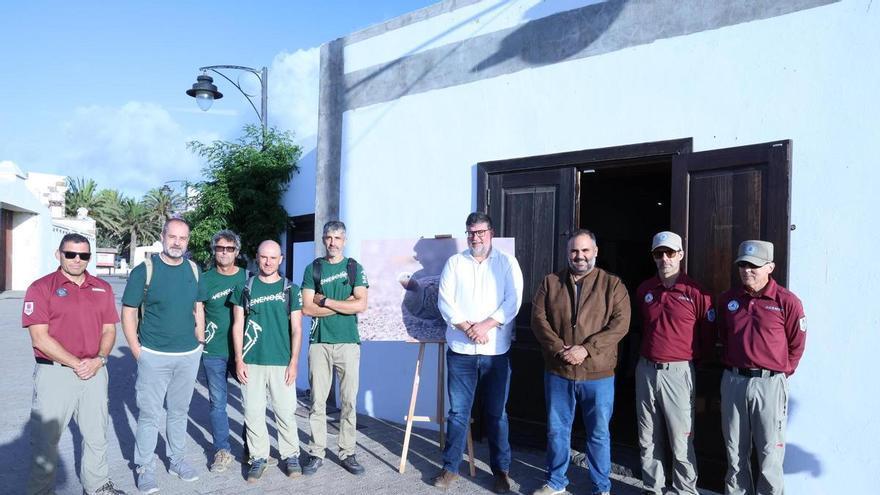 Lanzarote busca proteger a una de sus aves amenazadas sin perjudicar la agricultura